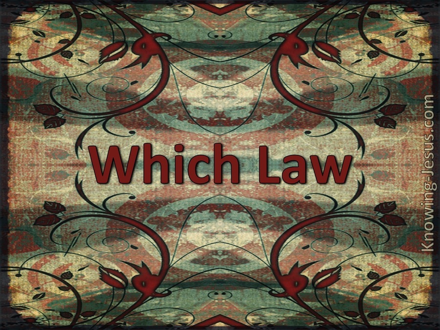 Which Law (devotional) (green)